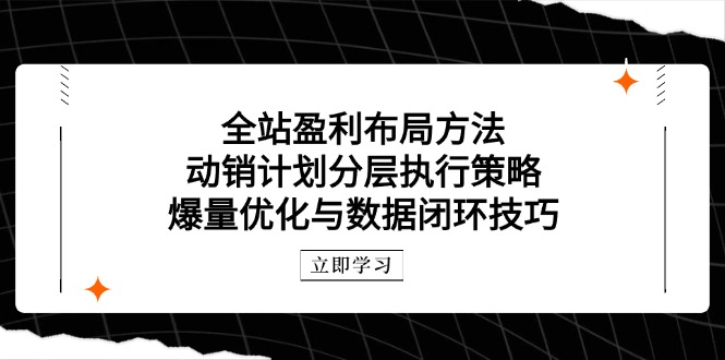 全站盈利布局方法：动销计划分层执行策略，爆量优化与数据闭环技巧-百赚智库