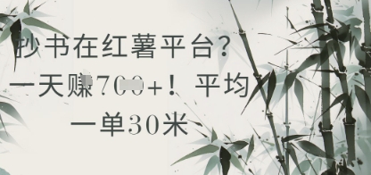 抄书在小红薯平台？平均一单30米，一天收益几张！-百赚智库