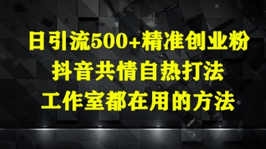 日引流500+精准创业粉，抖音共情自热打法，工作室都在用的方法-百赚智库