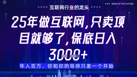 什么！25年你还在找项目做？风口早就变了，卖项目才是稳挣不赔【揭秘】-百赚智库