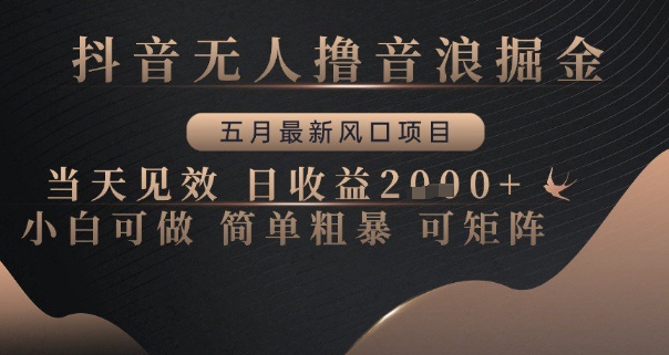 抖音无人撸音浪掘金，五月最新风口项目，当天见效，日收益多张，小白可做简单粗暴可矩阵【揭秘】-百赚智库