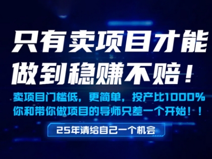 只有卖项目才能做到稳挣不赔，门槛低，更简单，你也可以年入百个W【揭秘】-百赚智库